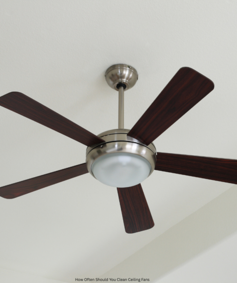 How Often Should You Clean Ceiling Fans