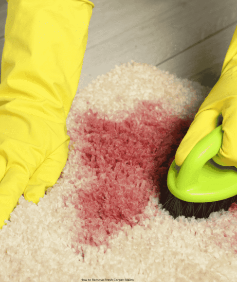 How to Remove Fresh Carpet Stains