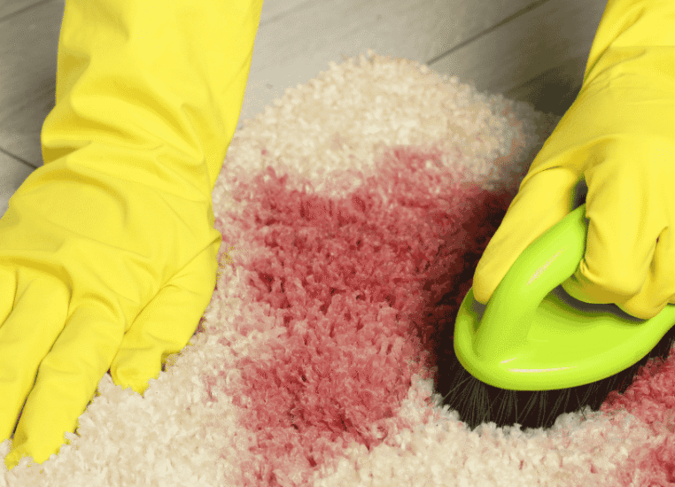 How to Remove Fresh Carpet Stains