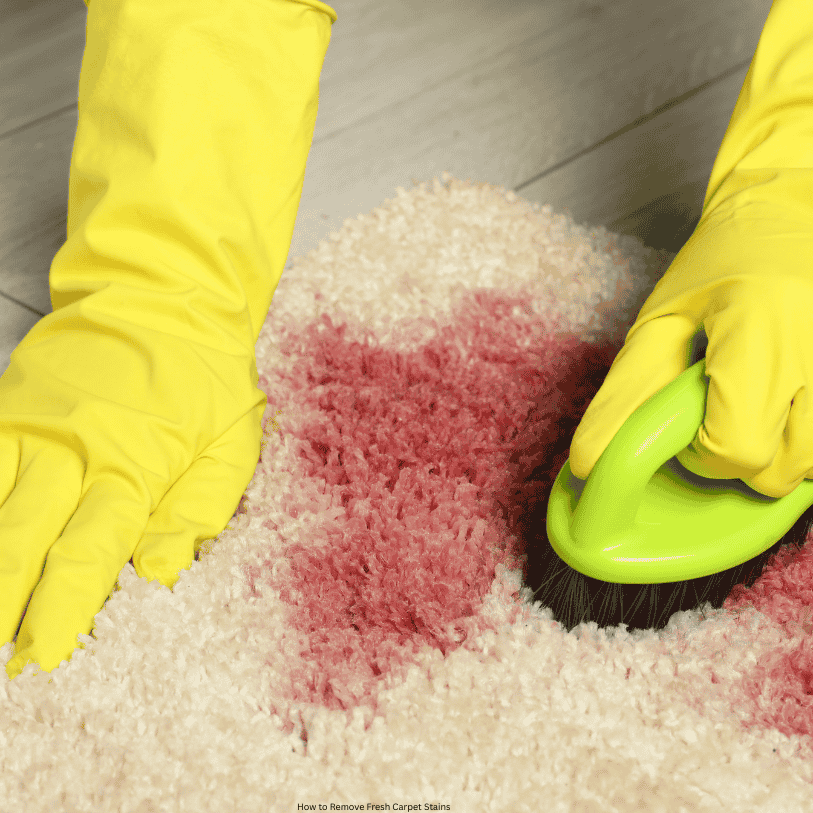 How to Remove Fresh Carpet Stains