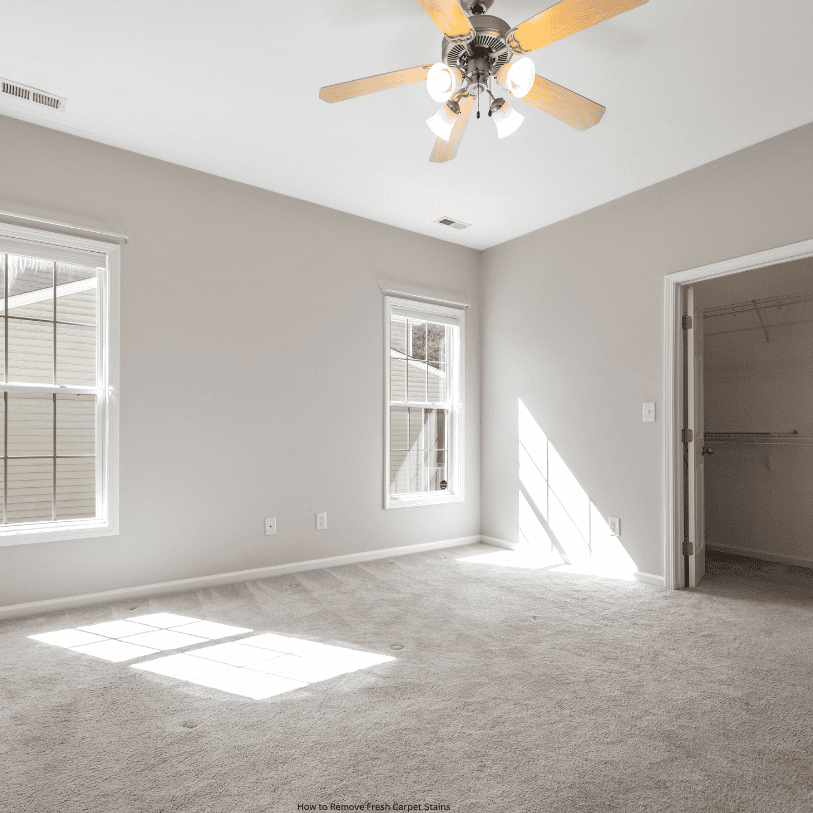 How to Remove Fresh Carpet Stains